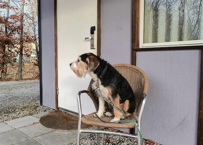 Onlysleep Industrivej Hotel Helsingør